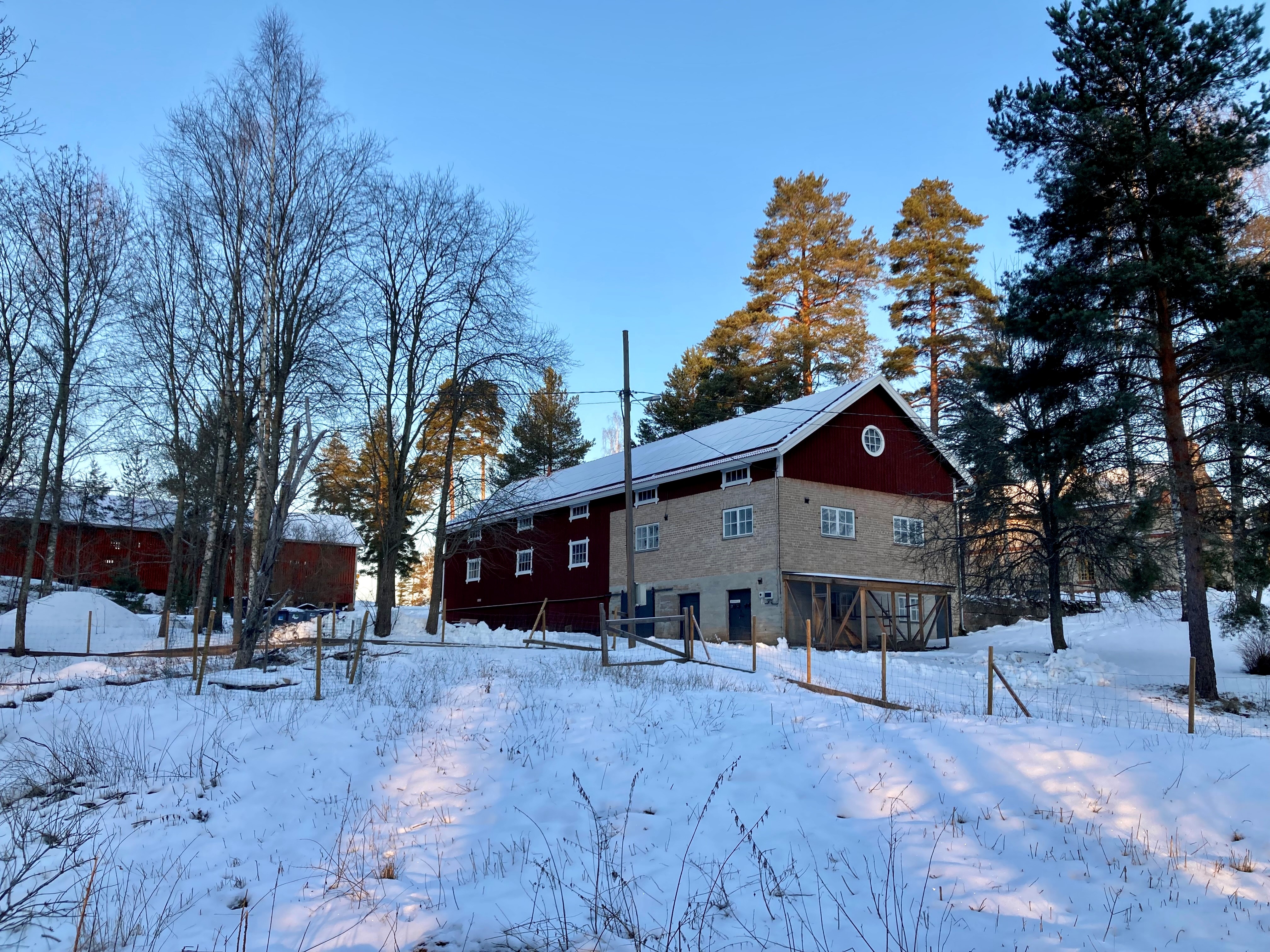 Aurinkopaneelit on asennettu tallirakennuksen lounaislappeelle.